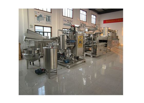 Termine o equipamento de fabricação gomoso pequeno automático dos doces fornecedor